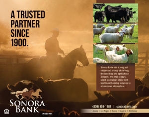 SB-SON-SAN-20-4-LW-WesternHeritage